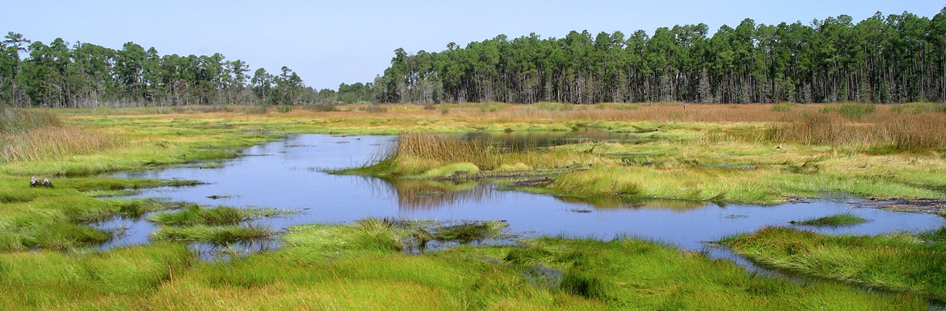 Grand Bay National Estuarine Research Reserve