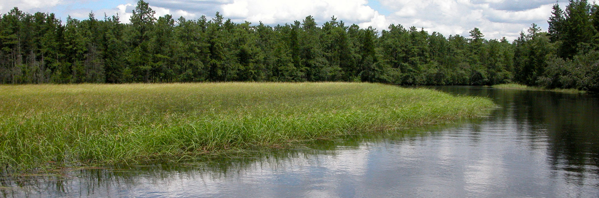 Jacques Cousteau National Estuarine Research Reserve