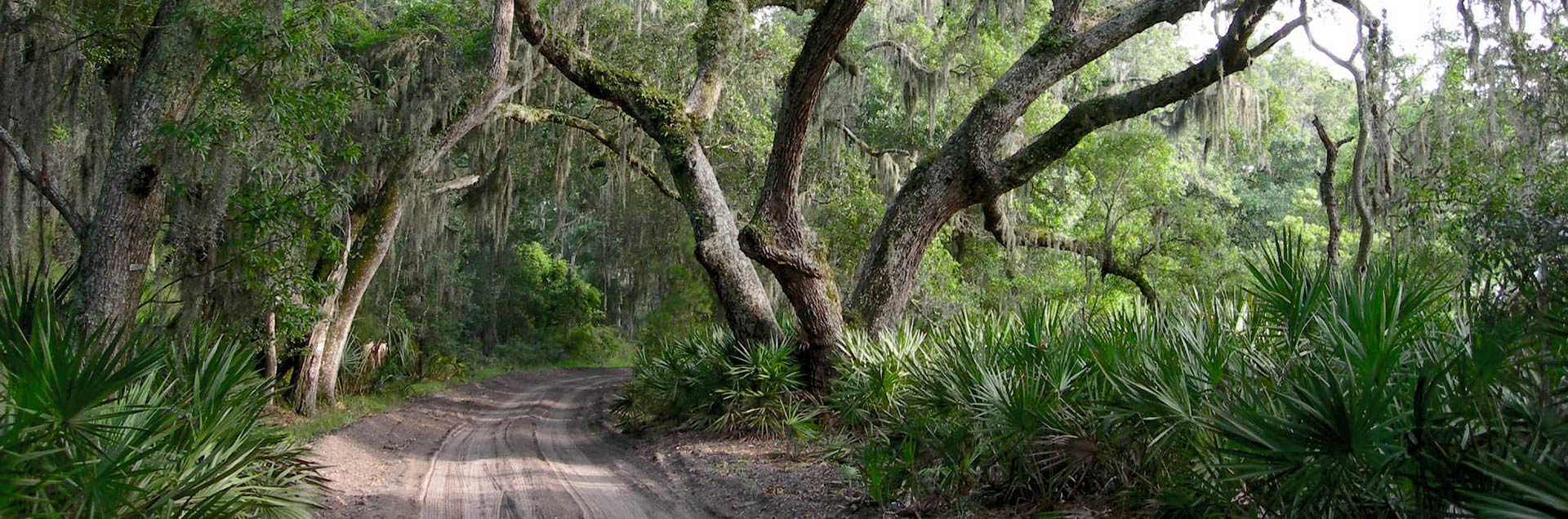 Sapelo Island National Estuarine Research Reserve